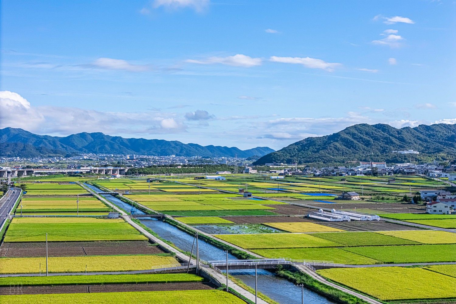 南あわじ市の田園風景